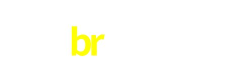 br519